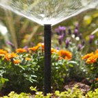 Віялові дощувачі